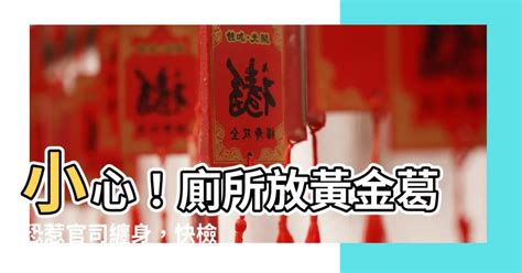 黃金葛風水禁忌|注意！黃金葛風水禁忌：惹口舌招陰靈，勿在室內種植。